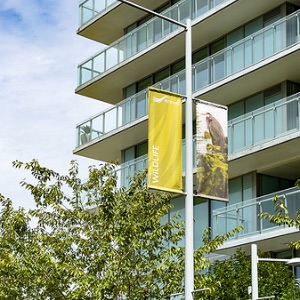 Banner installation 2023
