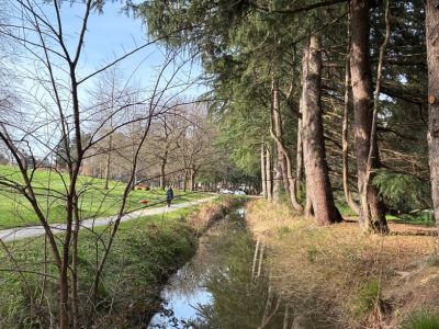 Minoru Ditch improvements
