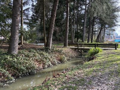 Minoru Ditch improvements