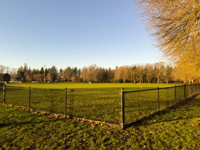 Minoru cricket pitch